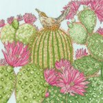 Cactus Garden (image for) Cactus Garden